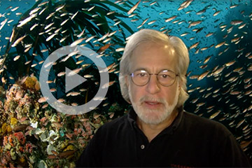 Voyage to the Bottom of the Sea, presentation video